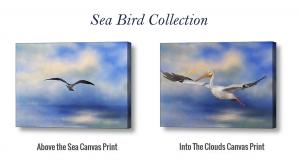 Sea Bird Collection